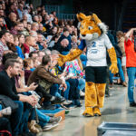 Siatkówka. PGE Rysice lepsze od Grot Budowlanych (zdjęcia) 4 - Polskie Radio Rzeszów Siatkówka. PGE Rysice lepsze od Grot Budowlanych (zdjęcia) - Polskie Radio Rzeszów