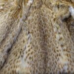 Futro z rysia rudego na przejściu granicznym w Medyce 2 - Polskie Radio Rzeszów Futro z rysia rudego na przejściu granicznym w Medyce - Polskie Radio Rzeszów