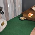 Międzynarodowy Dzień Postaci z Bajek - Polskie Radio Rzeszów