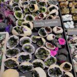 Międzynarodowa Wystawa i Giełdy Biżuterii Minerałów w Rzeszowie 19 - Polskie Radio Rzeszów Międzynarodowa Wystawa i Giełdy Biżuterii Minerałów w Rzeszowie - Polskie Radio Rzeszów