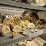 Międzynarodowa Wystawa i Giełdy Biżuterii Minerałów w Rzeszowie 20 - Polskie Radio Rzeszów Międzynarodowa Wystawa i Giełdy Biżuterii Minerałów w Rzeszowie - Polskie Radio Rzeszów