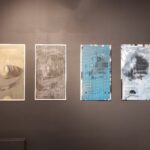 Cyfrowe ogrody Małgorzaty Bałdygi 5 - Polskie Radio Rzeszów Cyfrowe ogrody Małgorzaty Bałdygi - Polskie Radio Rzeszów