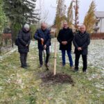 W Parku Papieskim w Rzeszowie zasadzono renetę. Ma przypominać o Polakach ratujących Żydów 3 - Polskie Radio Rzeszów W Parku Papieskim w Rzeszowie zasadzono renetę. Ma przypominać o Polakach ratujących Żydów - Polskie Radio Rzeszów