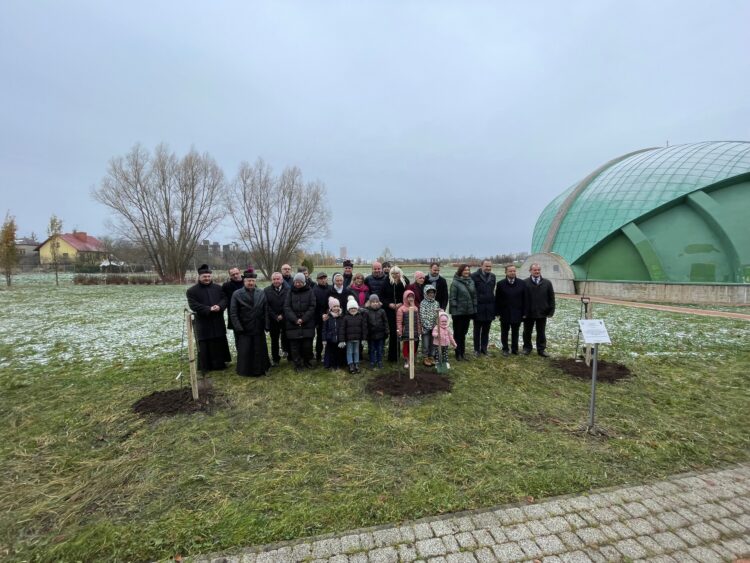 W Parku Papieskim w Rzeszowie zasadzono renetę. Ma przypominać o Polakach ratujących Żydów
