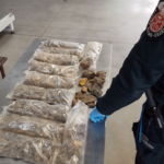 Przemyt bursztynu na przejściu granicznym w Korczowej 4 - Polskie Radio Rzeszów Przemyt bursztynu na przejściu granicznym w Korczowej - Polskie Radio Rzeszów