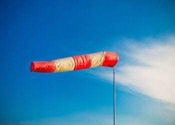 Silny wiatr w&nbsp;regionie. Ponad 30 interwencji straży pożarnej