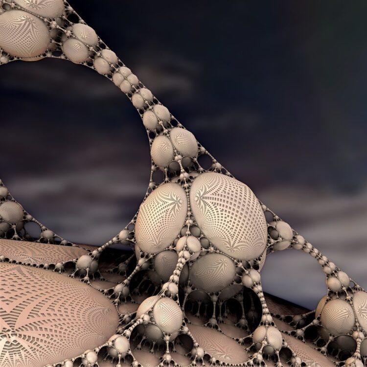 Funga – nieznane królestwo