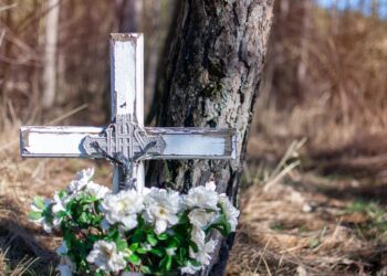 Trwa renowacja nekropolii w&nbsp;nieistniejącej wsi Stare Brusno, gdzie rośnie las