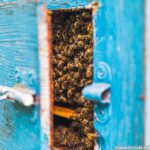 Reportaż "Tylko żyć" autorstwa Dominiki Dębskiej 12 - Polskie Radio Rzeszów Reportaż "Tylko żyć" autorstwa Dominiki Dębskiej - Polskie Radio Rzeszów