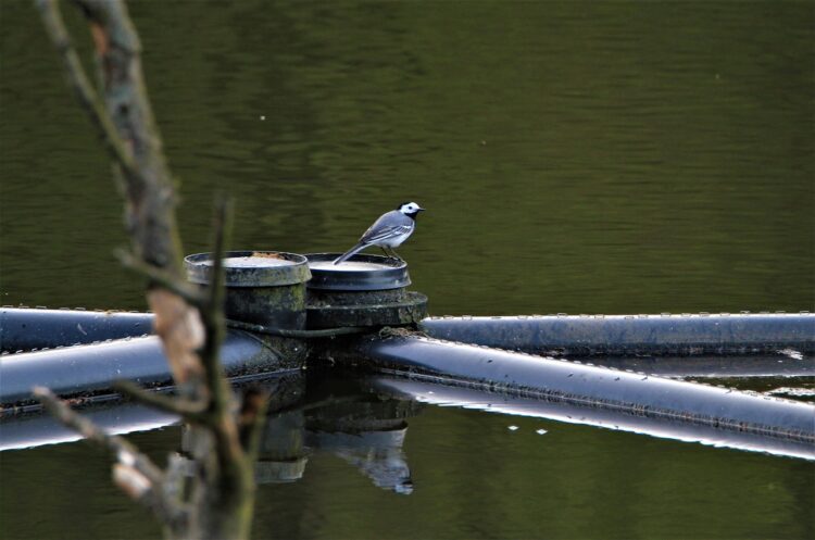 Gmina Ulanów buduje zbiorniki retencyjne