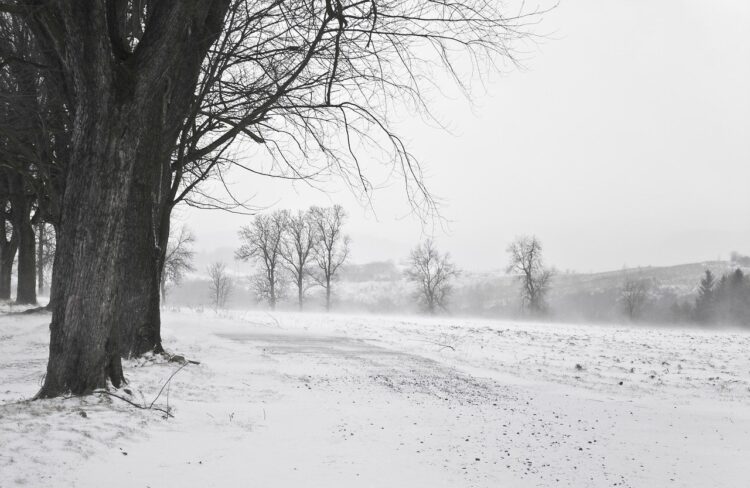 Do 12 wzrosła liczba śmiertelnych ofiar śnieżyc i wichur na Ukrainie