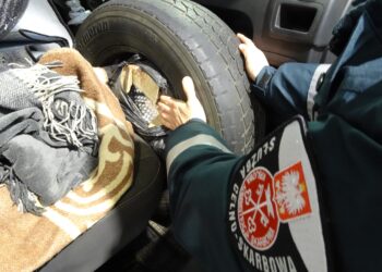 Celnicy udaremnili przemyt niebezpiecznych sterydów