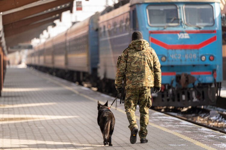 Nabór do służby w Bieszczadzkim Oddziale Straży Granicznej
