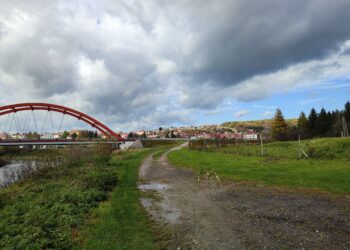 Brzegi Wisłoka w&nbsp;Strzyżowie zostaną zagospodarowane