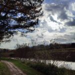 Brzegi Wisłoka w Strzyżowie zostaną zagospodarowane 3 - Polskie Radio Rzeszów Brzegi Wisłoka w Strzyżowie zostaną zagospodarowane - Polskie Radio Rzeszów