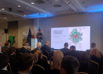 Podsumowanie projektów Rzeszowskiego Obszaru Funkcjonalnego