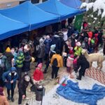 Smakołyki, szopka i alpaki na rzeszowskim osiedlu Kmity - Polskie Radio Rzeszów