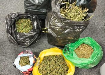 Podejrzani o&nbsp;posiadanie narkotyków trafili do&nbsp;tymczasowego aresztu