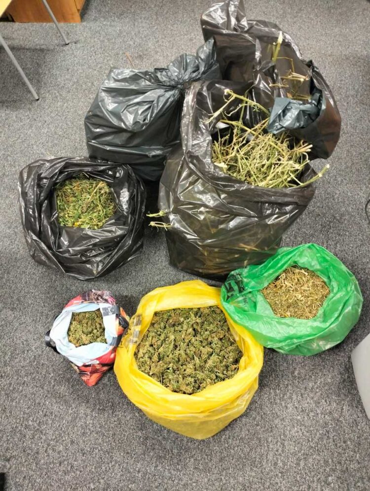 Podejrzani o posiadanie narkotyków trafili do tymczasowego aresztu