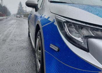 20-latek podejrzany o&nbsp;zabójstwo matki i&nbsp;usiłowanie zabójstwa ojca ma&nbsp;trafić na&nbsp;obserwację psychiatryczną