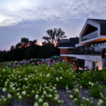 "Filmowe podróże na szklane wzgórze", czyli kino niszowe - Polskie Radio Rzeszów