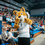 Siatkówka. Rysice pokonały ŁKS w meczu na szczycie ekstraklasy (fotogaleria) - Polskie Radio Rzeszów