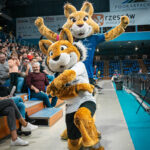 Siatkówka. Rysice pokonały ŁKS w meczu na szczycie ekstraklasy (fotogaleria) - Polskie Radio Rzeszów