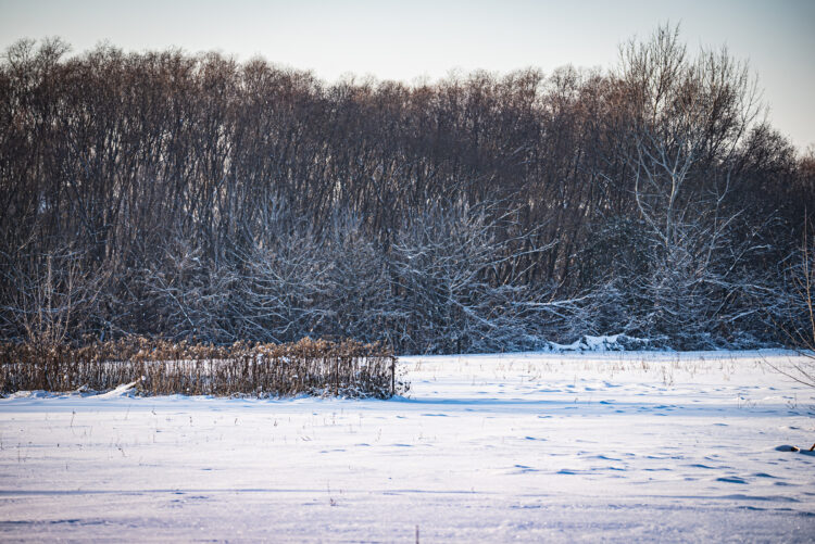 Silny wiatr na południu regionu. Gołoledź w całym województwie