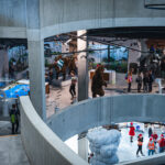 Magia świąt w eksperymentach naukowych 26 - Polskie Radio Rzeszów Magia świąt w eksperymentach naukowych - Polskie Radio Rzeszów