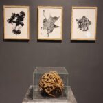 "Kraina Metaksy" Waldemara Węgrzyna w Galerii r_z 11 - Polskie Radio Rzeszów "Kraina Metaksy" Waldemara Węgrzyna w Galerii r_z - Polskie Radio Rzeszów