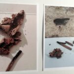 W piwnicach BWA w Krośnie odsłonięto i zabezpieczono rysunki oraz napisy wykonane przez więźniów 12 - Polskie Radio Rzeszów W piwnicach BWA w Krośnie odsłonięto i zabezpieczono rysunki oraz napisy wykonane przez więźniów - Polskie Radio Rzeszów