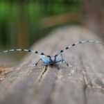 PGE wspiera badania prowadzone w Magurskim Parku Narodowym 4 - Polskie Radio Rzeszów PGE wspiera badania prowadzone w Magurskim Parku Narodowym - Polskie Radio Rzeszów