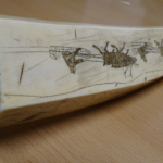 Kieł morsa i torebka z krokodyla. Przemyt nielegalnego towaru - Polskie Radio Rzeszów