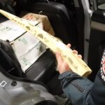 Kieł morsa i torebka z krokodyla. Przemyt nielegalnego towaru - Polskie Radio Rzeszów