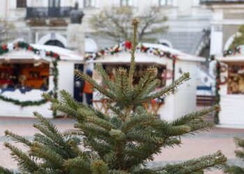 Świąteczny jarmark w&nbsp;Nowej Dębie potrwa trzy dni