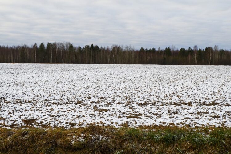 70 działek pod budownictwo jednorodzinne zamierza przygotować gmina Leżajsk
