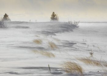 Ostrzeżenia przed&nbsp;silnym wiatrem w&nbsp;całym kraju