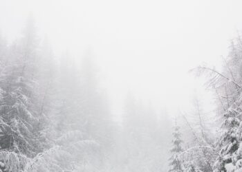 Trudne warunki i&nbsp;ostrzeżenia GOPR przed&nbsp;wyjściami w&nbsp;góry