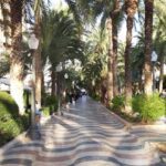 Nowe regularne połączenie lotnicze z podrzeszowskiego lotniska w Jasionce 4 - Polskie Radio Rzeszów Nowe regularne połączenie lotnicze z podrzeszowskiego lotniska w Jasionce - Polskie Radio Rzeszów