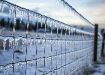 45 lat temu rozpoczęła się zima stulecia
