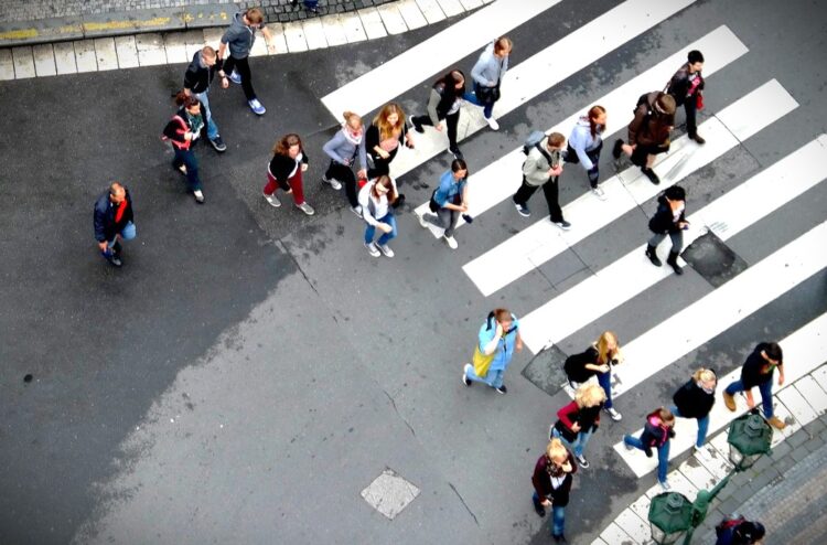 Jaśniej i bezpieczniej na podkarpackich przejściach dla pieszych