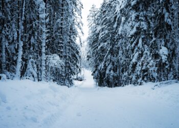 Uwaga! Intensywne opady śniegu na&nbsp;Podkarpaciu