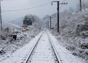 Służby techniczne przywróciły przejezdność na&nbsp;dwóch podkarpackich liniach kolejowych