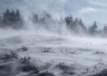 Zamieć na&nbsp;Podkarpaciu. Zamknięta droga wojewódzka między Foluszem a&nbsp;Nowym Żmigrodem