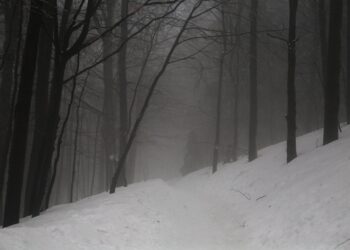 Walka strażaków z&nbsp;efektami intensywnych opadów śniegu