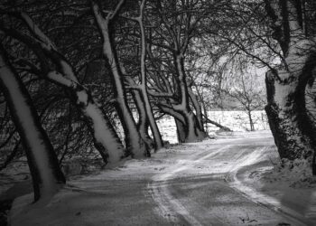 Gołoledź nadchodzi. Alert przed&nbsp;niebezpieczeństwem