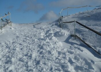 Ojciec z&nbsp;trójką dzieci wybrał się na&nbsp;Połoninę Wetlińską. Akcja ratunkowa trwała kilka godzin