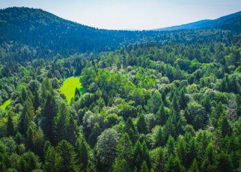 Wiceminister klimatu spotkał się z&nbsp;leśnikami i&nbsp;pracownikami zakładów usług leśnych