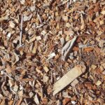 Paliwa odnawialne w Elektrociepłowni Krosno - Polskie Radio Rzeszów