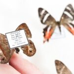 "W poszukiwaniu białej plamy…" - wystawa Marka Arcimowicza w Rzeszowie - Polskie Radio Rzeszów